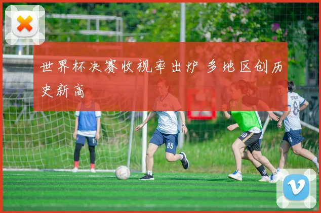 世界杯决赛收视率出炉 多地区创历史新高